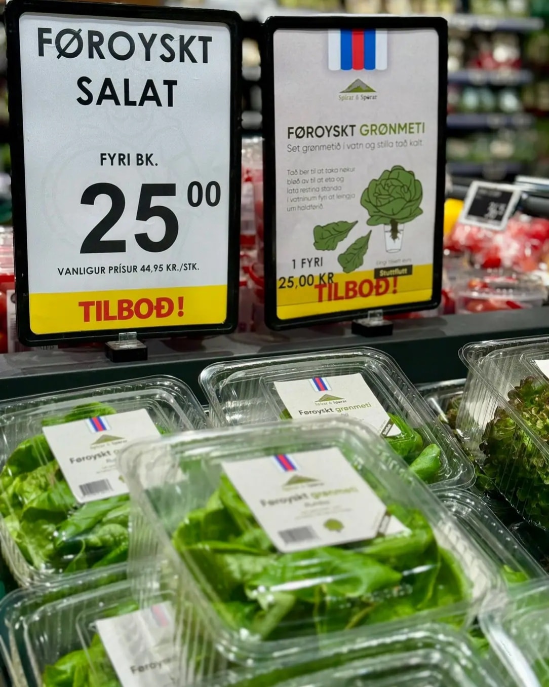 Plastikowe pojemniki z lokalną, zieloną sałatą (Føroyskt Salat) na półce w farerskim supermarkecie, z żółtymi tabliczkami promocyjnymi informującymi o cenie 25,00 DKK